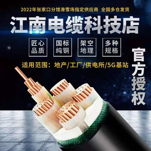 YJ江V南电缆yjv22铜芯1国标3 4 5芯50-300平方95高压低压工程电线
