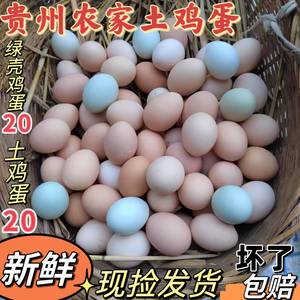 贵州虫草包谷山林新鲜农家散养蛋现捡现发乌骨绿壳土鸡蛋40枚包邮