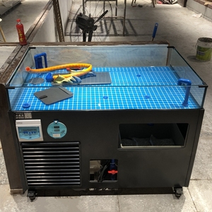贝类池移动海鲜鱼缸制冷机一体龙虾贝类养殖专用海鲜缸海鲜池商用