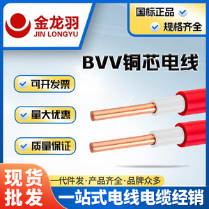 2535NHBV10/BVV4/家装铜/塑料芯电线国标16平方/金龙羽电缆线双层