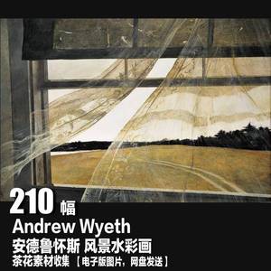 安德鲁怀斯 Andrew Wyeth 电子画册写实人物风景水彩画装饰画素材