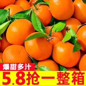 广西武鸣沃柑10斤新鲜水果当季橘子应季整箱一级砂糖蜜桔5柑桔丑