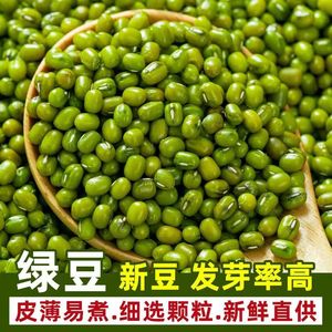 【超优惠】23新货绿豆农家新鲜小绿豆发豆芽煮粥汤易沙夏天新豆子