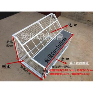 鸽子跳笼 信鸽赛鸽用品用具 鸽棚鸽舍进口 只进不出跳笼 放飞笼门