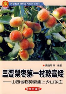 三晋梨枣第一村致富经：山西省临猗县庙上乡山东庄 隋晓黑等著 金