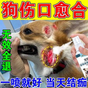 狗狗伤口愈合药宠物受伤去腐生肌化脓外伤包扎消炎感染结痂外用剂