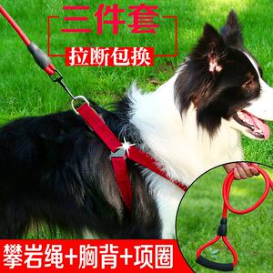 边牧牵引绳胸背带中小型犬狗项圈套装边境牧羊犬遛狗绳牵狗绳狗链