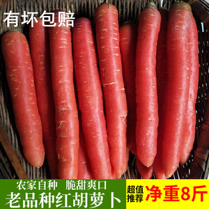 四川老品种农家自挖胡萝卜新鲜红皮红心萝卜脆甜水果红萝卜蔬菜