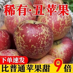 云南昭通丑苹果冰糖心苹果水果新鲜脆甜10斤红富士当季整箱包邮