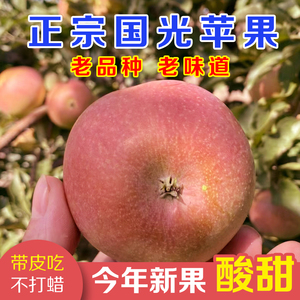 山东国光苹果新鲜水果当季孕妇酸甜应季小苹果老品种国光精选整箱