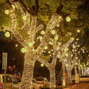 led藤球灯户外防水挂树上的彩灯景观街道工程亮化发光圆球装饰灯