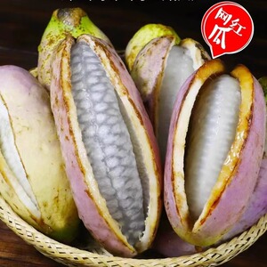 八月瓜水果新鲜8月炸甜瓜5斤当季罕见网红水果牛卵坨预知子野生