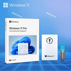 正版Windows11专业版系统u盘64位pro彩盒电脑重装win10纯净版