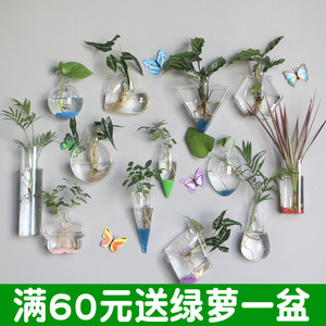 墙上悬挂式水培玻璃花瓶透明鱼缸绿萝植物花盆幼儿园壁挂装饰品