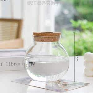 绿萝花瓶盆栽花瓶&植物玻璃透明水养简约插罗汉松九里香水培创意