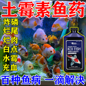 土霉素水族鱼药专用药烂身烂尾白点水霉黑斑病观赏鱼专用万能鱼药