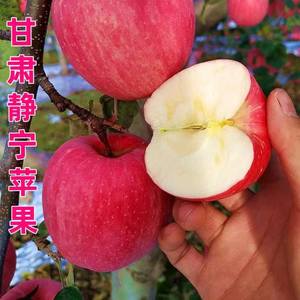 甘肃静宁红富士苹果冰糖心官方旗舰店苹果一级大果10斤整箱