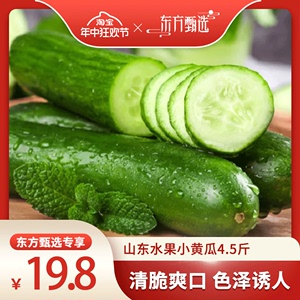 【年中狂欢节】峡城人家山东水果小黄瓜4.5斤