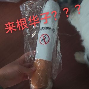 宠物猫狗香烟抱枕毛绒狗玩具烟头圆柱长条狗枕头奶狗睡觉玩偶公仔