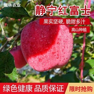 正宗甘肃静宁红富士苹果一级精品冰糖心旗舰店苹果新鲜整一箱10斤