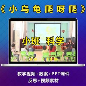 幼儿园小班科学视频优质公开课《小乌龟爬呀爬》PPT视频比赛教案