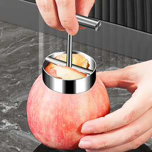 304不锈钢水果抽芯器厨房炖梨模具雪梨果核分离器挖孔器苹果去核