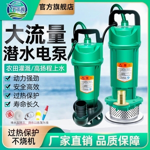 潜水泵家用220V抽水泵小型清污水泵农用灌溉排污高扬程抽水机井水