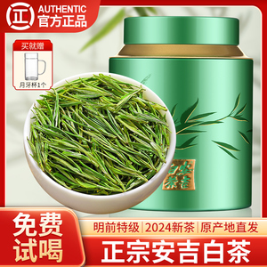 安吉白茶2024新茶明前特级绿茶高山春茶罐装茶叶官方正品旗舰店