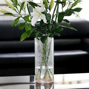 冰裂纹花瓶玻璃透明家用客厅插花摆件富贵竹转运竹大号