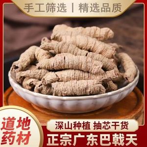 正品广东精选大条巴戟天中药材500g无硫新货搭肉苁蓉锁阳淫羊藿