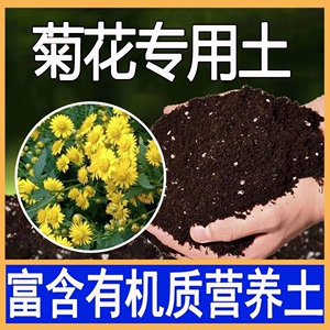 雏菊花专用土盆栽酸性土养花园艺家用营养土壤种植土有机肥料通用