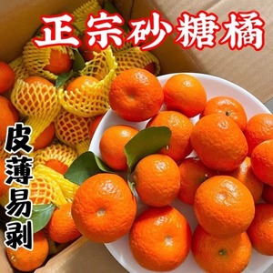 广西砂糖橘新鲜当季整箱水果小柑橘桔子10斤装沃正宗金秋沙糖蜜桔