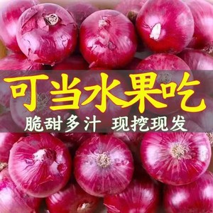 云南紫皮小洋葱10斤圆葱新鲜蔬菜农家自种甜味可以生吃紫红洋葱5