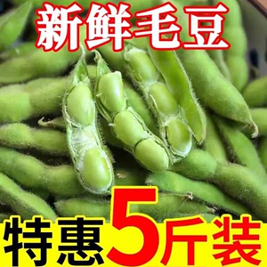 毛豆新鲜带壳当季毛豆米5斤嫩毛豆2024当季农家自种蔬菜现摘青豆1