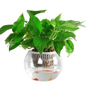 塑料花瓶仿玻璃水培植物瓶水养绿萝花盆大号透明圆球鱼缸器皿容器