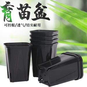多肉种植花盆小方育苗杯塑料小黑方控根加厚款营养钵绿植培育盆器