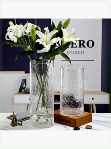 毛毛虫花瓶特大号花瓶玻璃透明高40厘米裂纹富贵竹水竹鲜花百合简