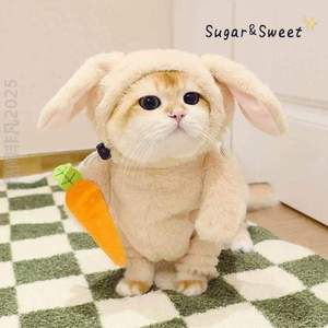 兔子搞怪跳可爱同款宠物直立变装兔衣服猫咪兔抖音胡萝卜搞笑衣带