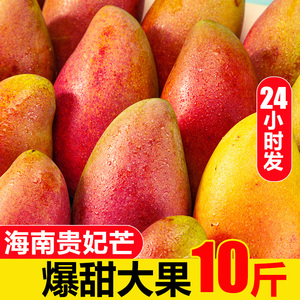 海南贵妃芒10斤芒果新鲜当季热带水果树上熟整箱红金龙甜心芒包邮
