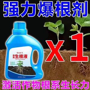 急速发货果树专用生根粉强力促根生根壮苗剂扦插移栽幼苗冲施药水