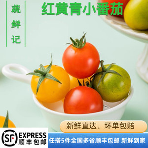 樱桃小番茄500g 红黄青圣女果新鲜蔬菜水果西红柿 5件包邮