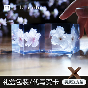 日本宙sola cube樱花标本植物桌面摆件创意生日礼物送男女生朋友