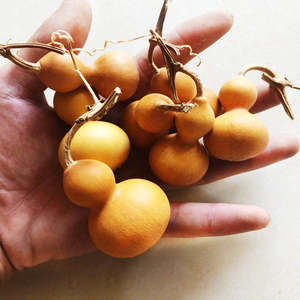 手撵小葫芦文玩练手摆件通货可爱带龙头胖墩天然小巧玩具摆地摊