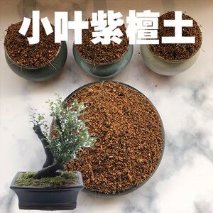 小叶紫檀土小叶紫檀专用盆景盆栽土弱酸性沙质土壤绿植种植土肥料