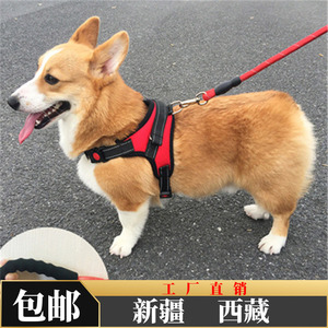 新疆西藏包邮狗狗牵引绳背心式胸背带中型大型犬遛狗金毛拉布拉多