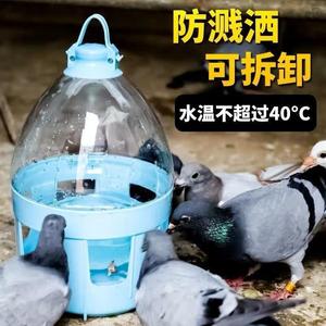 鸽子饮水器 水壶信鸽用品自动喂水干净卫生鸽子用品用具 赛鸽水壶