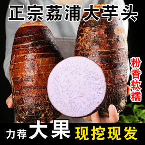 广西荔浦大芋头正宗香芋头特产新鲜小香芋槟榔芋紫藤毛芋9斤包邮5