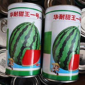甜王一号西瓜种子天王西瓜种籽特大巨大超大北京华耐春季四季禾之