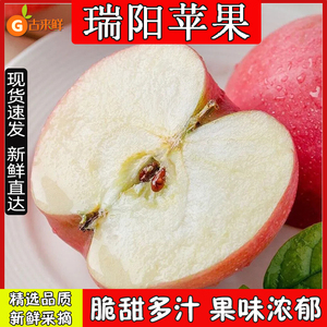 陕西瑞阳苹果新鲜水果新品种西北农林香甜多汁应当季富士整箱包邮