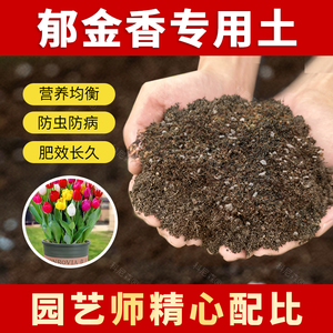 郁金香专用土肥料郁金香营养土养花种花有机土家用花盆花卉土壤